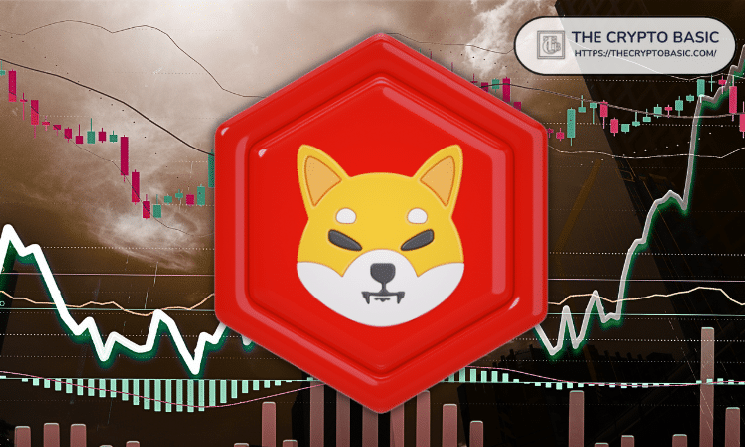 Shiba Inu 4% Price Drop Wipes Out 48,348,433,371 SHIB in Long Positions