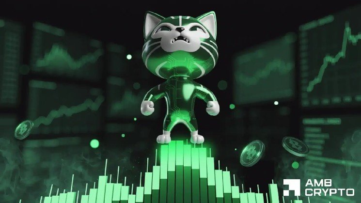 Cash Cat crypto hits a new ATH with a 120% increase, Robinhood in focus