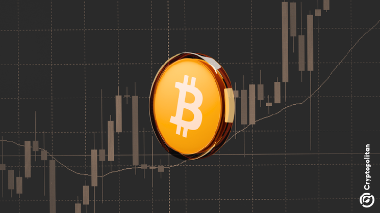 Bitcoin Reclaims Short-Term Holder Cost Basis as the Weekly Moving Average Holds at $81K