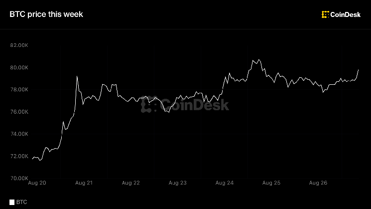 Bitcoin steadies above $79,000 as ETF inflows hit longest streak since April