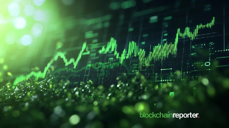 HashKey Revenue Rises 20.6% as Adjusted First-Half Loss Narrows