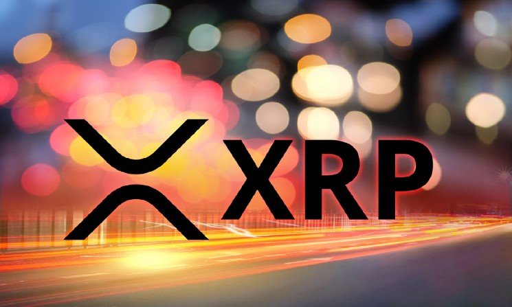 XRP Sets 187% Boost: Ledger Points to Bullish Market