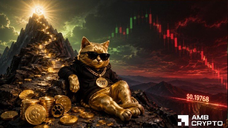 Should CASHCAT traders expect a major price correction in the near term?