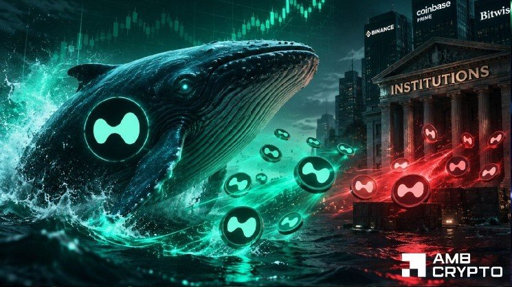 How is HYPE’s whale accumulation challenging its $72M institutional transfers?