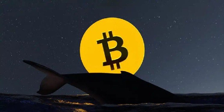 BTCs of a Bitcoin Whale That Has Been Dormant for 15 Years Have Started Moving