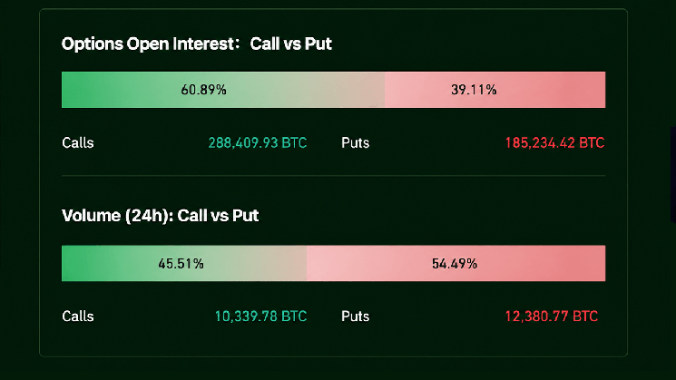 Options Bets Turn Defensive Ahead of a Bitcoin Price Showdown