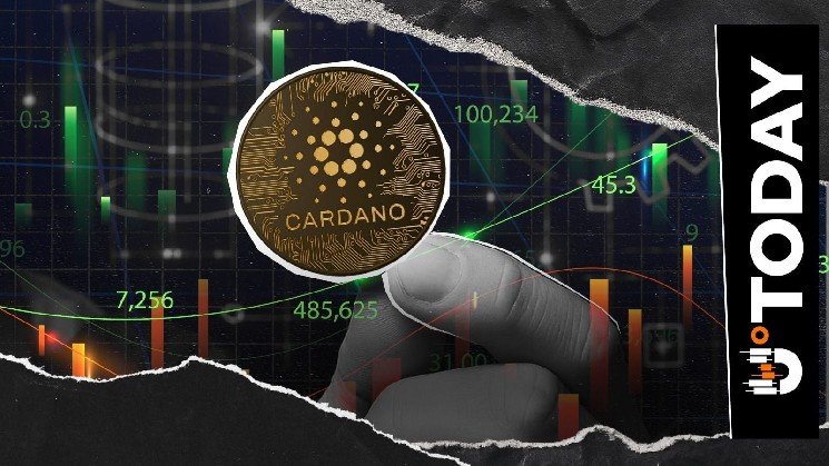 48-Hour Alert: Cardano Upgrade at Risk as Governance Votes Lag