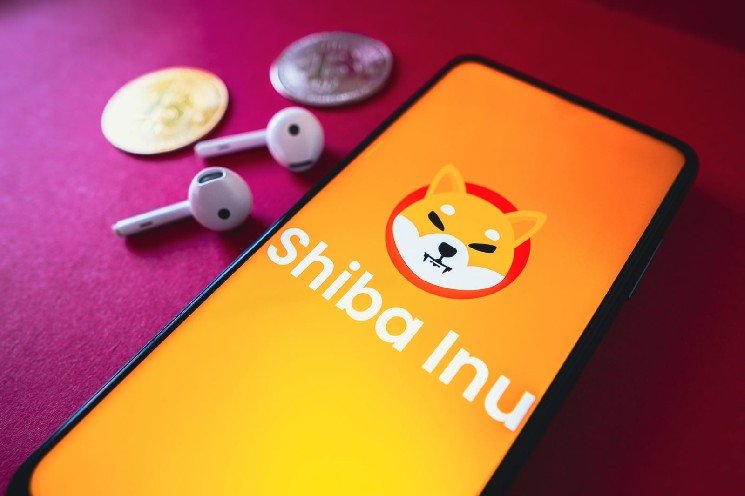 Is Shiba Inu (SHIB) Worth Holding in September? Token's Price History Provides 2 Answers