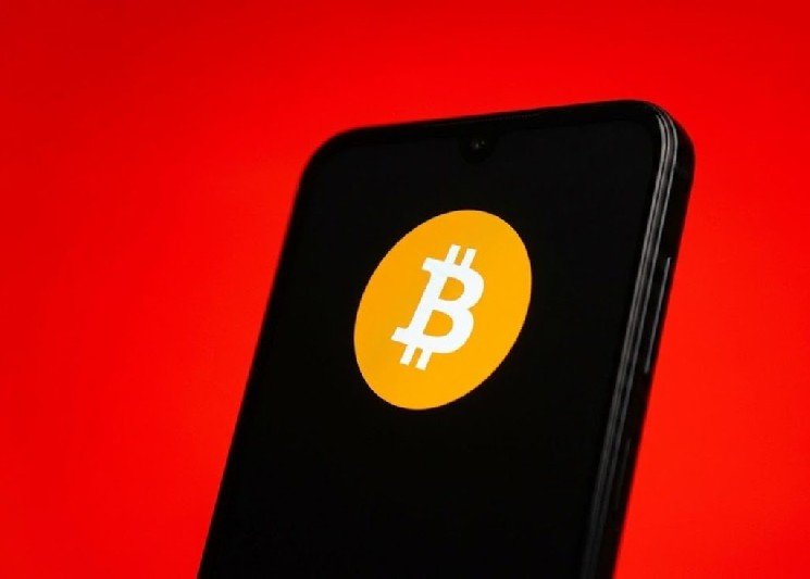 Owner of Turkish Cryptocurrency Exchange Arrested