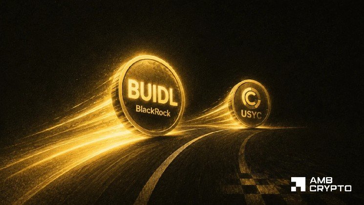 BlackRock’s BUIDL outpaces Circle’s USYC – Tokenized treasury race heats up