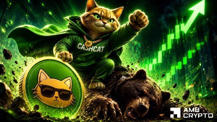 Will Cash Cat break THIS key resistance? Watch out for 2 major signs!