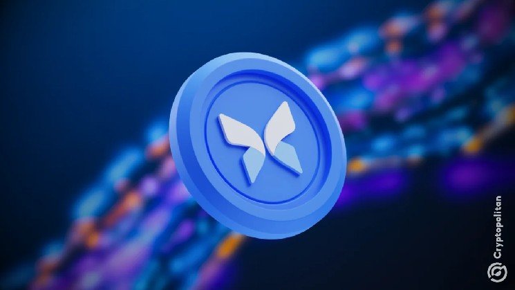 Morpho halves Aave's lending lead as outstanding loans hit $5B record