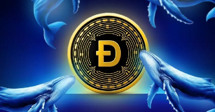 Dogecoin Price Analysis: Can DOGE Turn $0.081 Into a Launchpad?