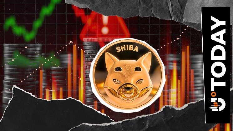 Shiba Inu Mega Whale Offloads Hundreds of Billions of SHIB Tokens