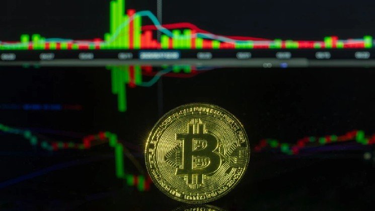 Major 127M USDC Burn at Treasury Reflects Growing Stability