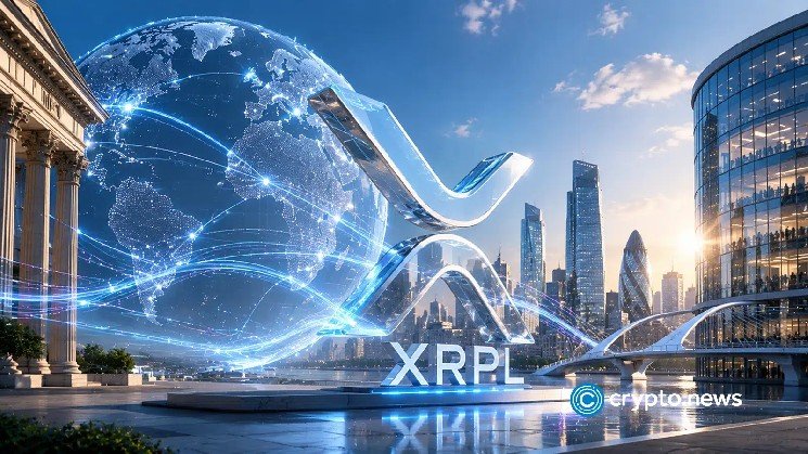 XRP Ledger order-book volume jumps 79% as traders fall