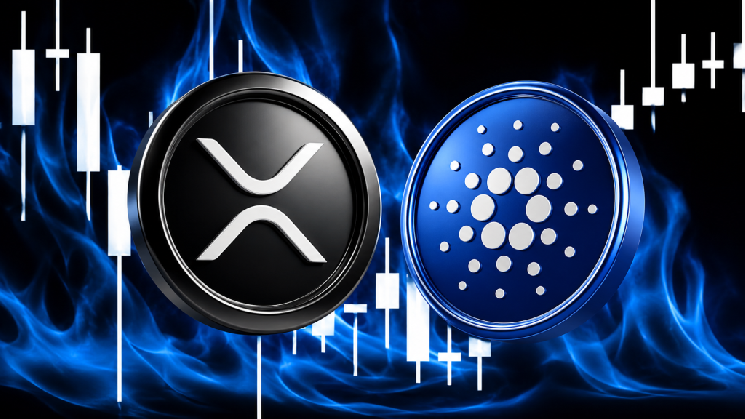 Experienced Analyst Claims There Is a Bullish Signal for Cardano (ADA) and Ripple (XRP)