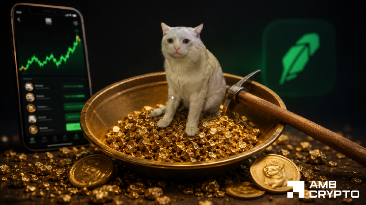 Assessing Cash Cat’s 29% rally as liquidations hit $611K: What’s next?