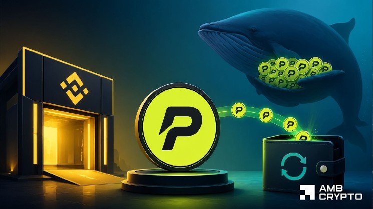 PONS lands on Binance Alpha – Can its 80% buybacks absorb whale selling?