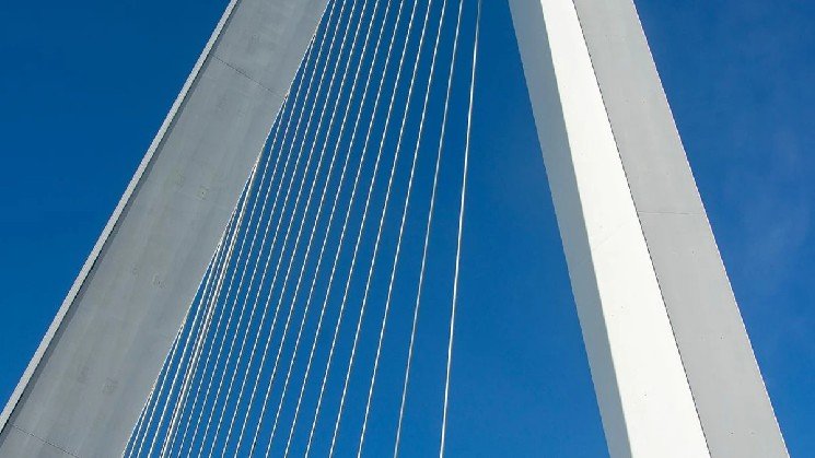 Hedera Releases Intelligence Report Highlighting