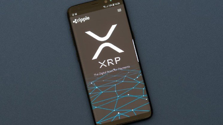 XRP Ledger has fewer active accounts than last year, but bigger trades and more value