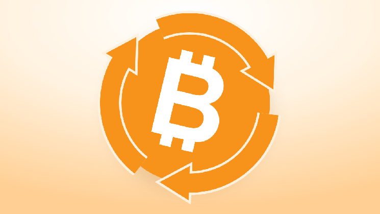 Is 'This Time Is Different' Really Different for Bitcoin Price?