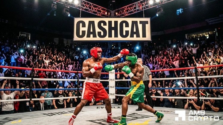CASHCAT drops 16% – But THIS metric flashes hope for bulls