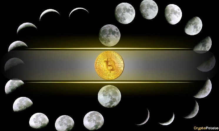 Bitcoin’s 4-Year Cycle Could Be Changing: Willy Woo Reveals What Could Replace It