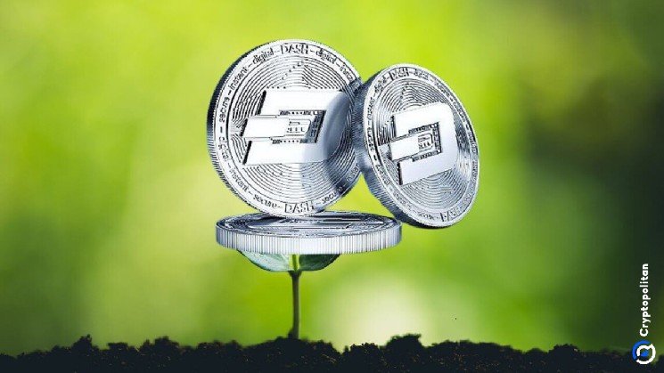 Dash price prediction 2026-2032: Is DASH recovering soon?