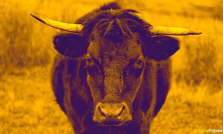 “Largest Altcoin Bull Run of All Time Is Loading,” Analyst Says as Key Charts Break Out