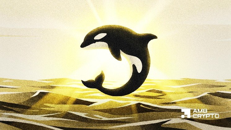ORCA crypto pushes above $1.60 – Can the rally reach $2 next?