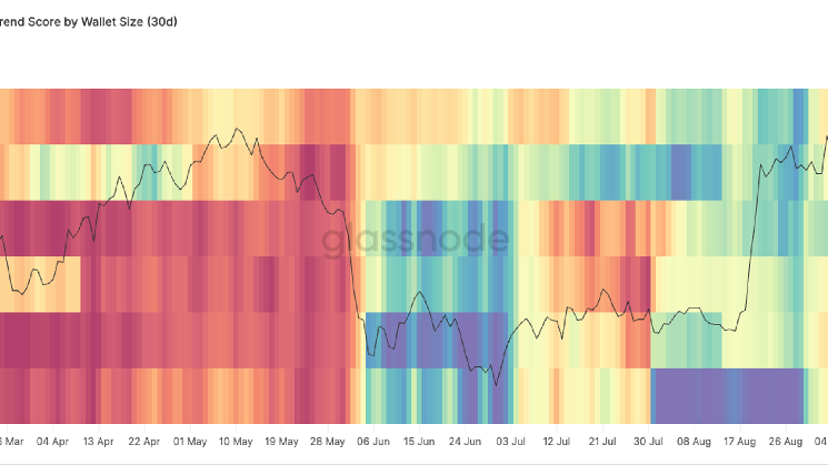 Bitcoin struggles at $83,000 sell wall as whales distribution flip into net selling