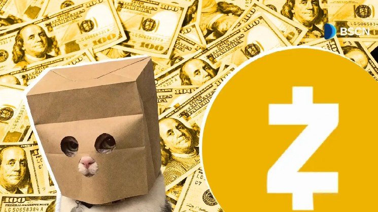 What is Anonymous Cat (ZCAT)? Inside The Memecoin Paying Holders in Zcash