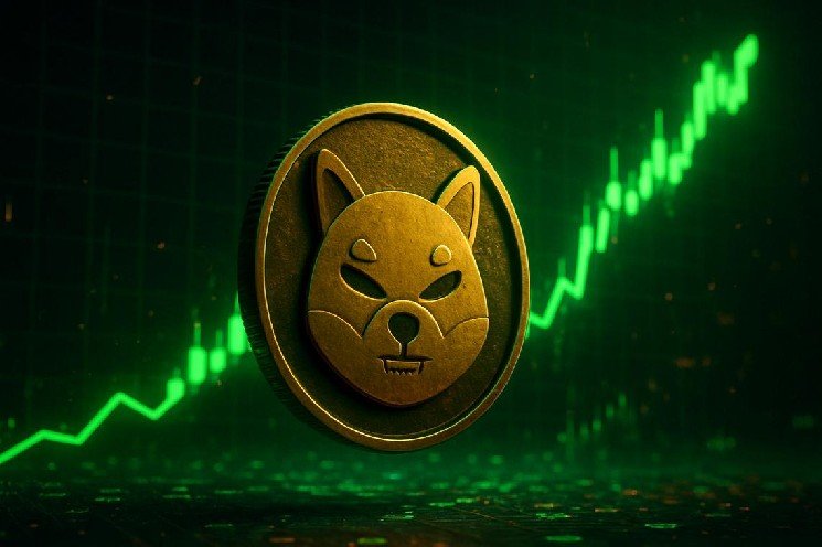 Shiba Inu Today Sends Mixed RSI Signals as $2.689T Market Cools