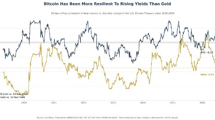Bitcoin blinks less than gold when Treasury yields move