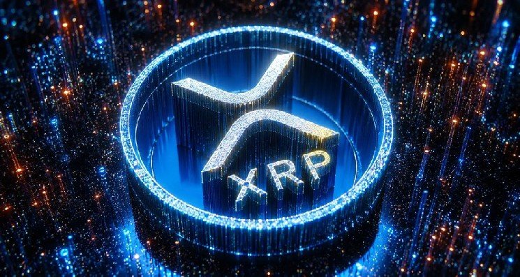 Critical Warning from a Famous American Figure to XRP Investors: “Your Assets Could Be a Target!”