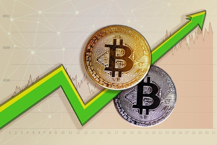 Bitcoin Paradox: Why Big Holders Taking Losses Signal Market Bottom