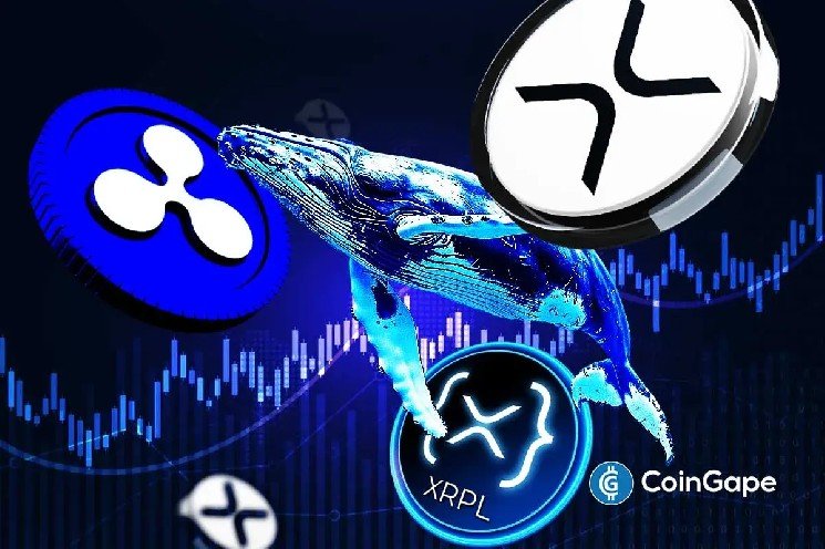 XRP News: Ripple Hires Paypal, Google Veteran To Expand XRP Ledger Business