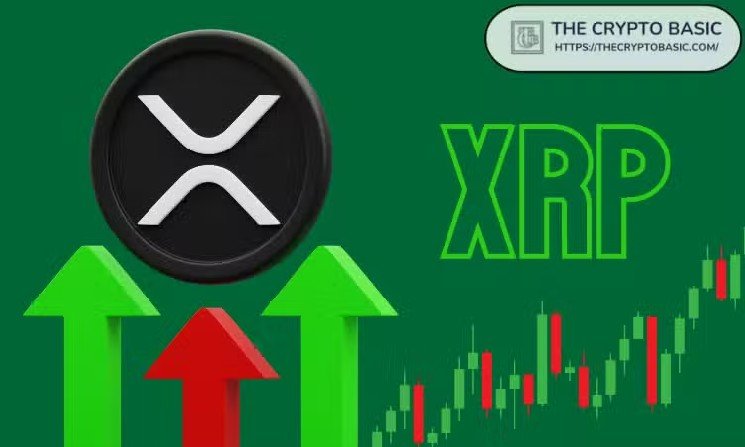 XRP Has Entered Rare Zone Seen Just 7 Times in 13 Years, Analyst Says