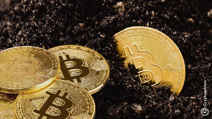 Bitcoin miners miss the rally as exchanges and stablecoin firms pull ahead