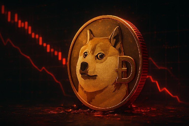Dogecoin Price Today Holds Support as Volatility Squeeze Builds