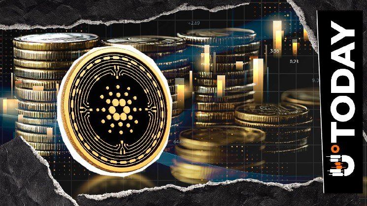 Cardano Faces 1,085% Liquidation Spike as $0.20 Support Wavers