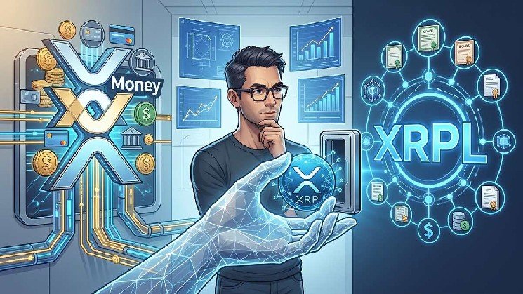 Could Elon Musk’s X Money Embrace XRP? XRPL CTO Weighs In