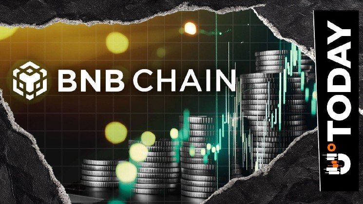 BNB Chain Flips Solana to Become Fastest-Growing Chain by RWA Value