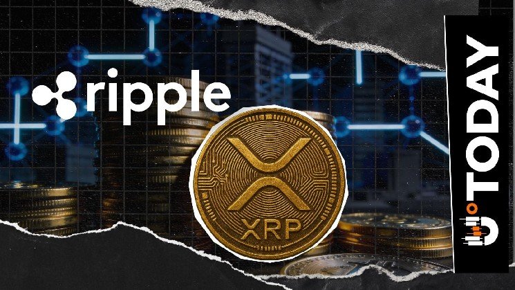 Ripple Exec: XRP's 'Killer Use Case' Lies in Institutional Collateral