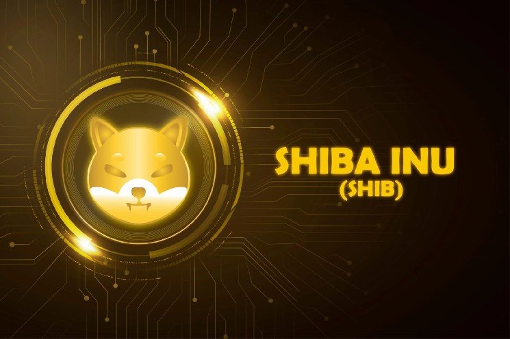 Big Pattern for Shiba Inu (SHIB): Triangle Breakout Nears as Whale Concentration Tops 94.68%