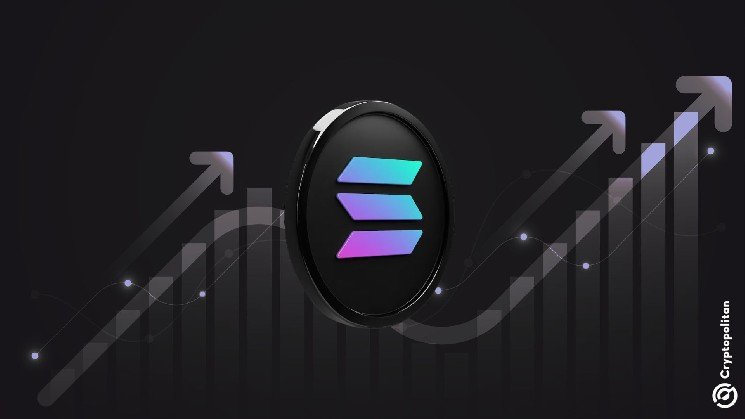 Tokenized Equity Holders on Solana Cross 800K