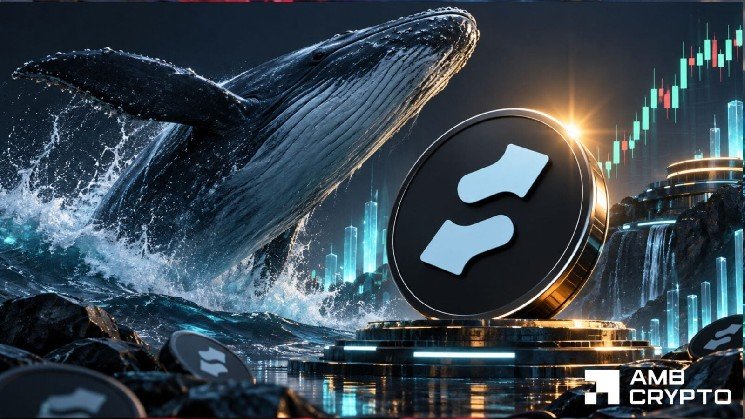 STONK crypto dips despite $4.4M whale buy – Could price fall to $0.20?