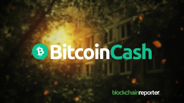 Grayscale Files to Convert Bitcoin Cash Trust (BCHG) Into Spot Bitcoin Cash ETF