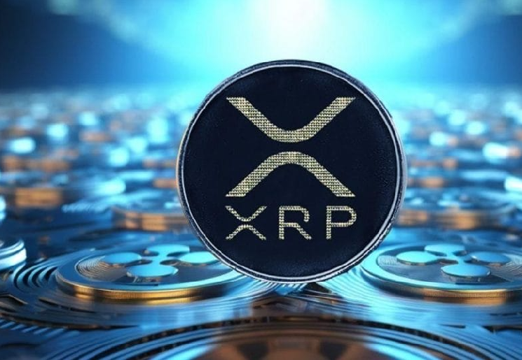 XRP Hits New Record: Trading Traffic Peaks! What Does It Mean?